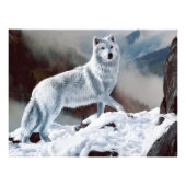 Arktischer Wolf Fotodruck (Vorne)
