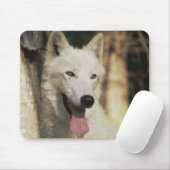 Arktischer Wolf im Wald Mousepad (Mit Mouse)