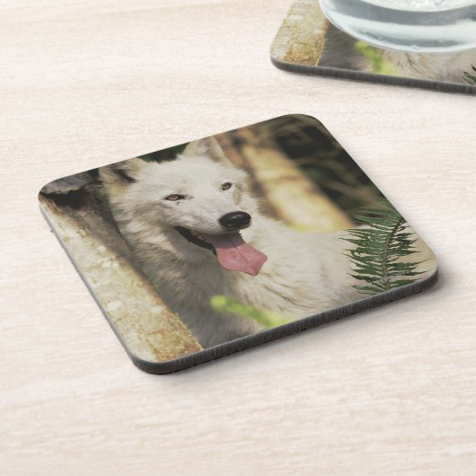 Arktischer Wolf im Wald Untersetzer (Linke Seite)