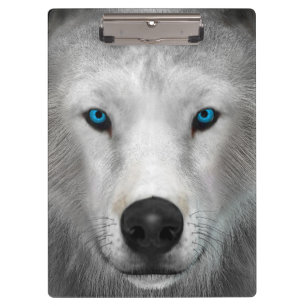 Arktischer Wolf Klemmbrett