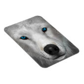 Arktischer Wolf Magnet (Rechte Seite)