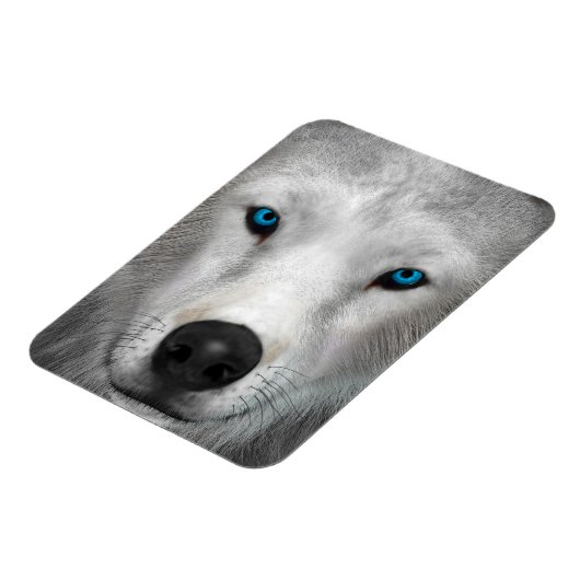 Arktischer Wolf Magnet (Linke Seite)