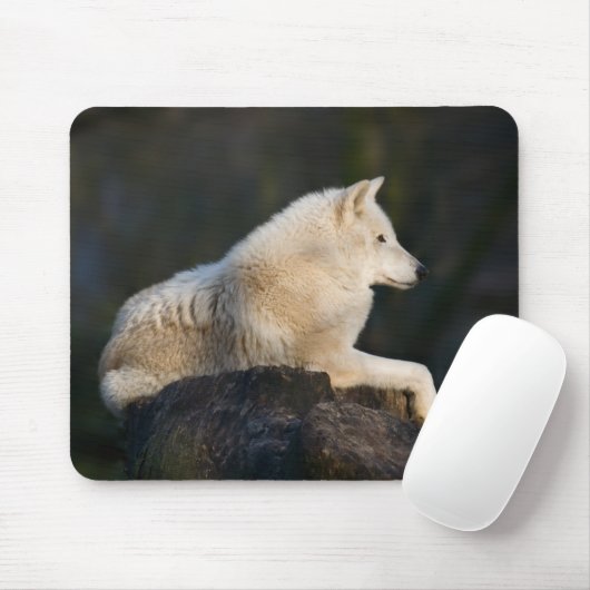 Arktischer Wolf Mousepad (Mit Mouse)