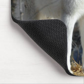 Arktischer Wolf Mousepad (Ecke)