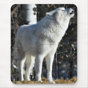 Arktischer Wolf Mousepad