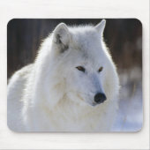 Arktischer Wolf Mousepad (Vorne)