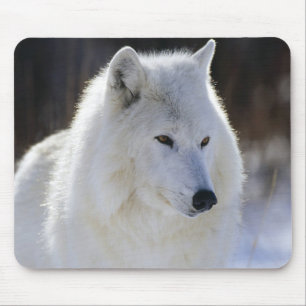Arktischer Wolf Mousepad