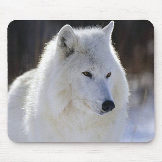 Arktischer Wolf Mousepad (Vorne)