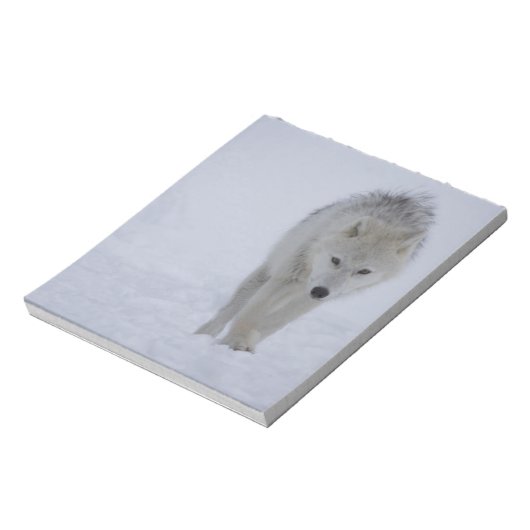 Arktischer Wolf Notizblock (Rotiert)