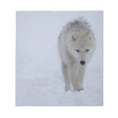 Arktischer Wolf Notizblock (Vorderseite)