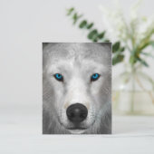 Arktischer Wolf Postkarte (Stehend Vorderseite)