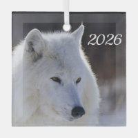 Arktischer Wolf Schmuck