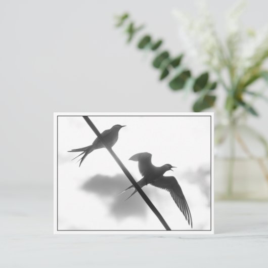 Arktisches Foto Postkarte (Stehend Vorderseite)