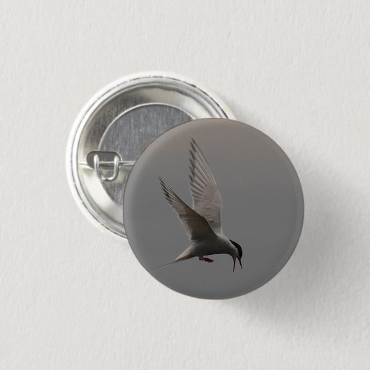 Arktisches Tern-Abzeichen Button (Vorne & Hinten)