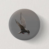 Arktisches Tern-Abzeichen Button (Vorderseite)