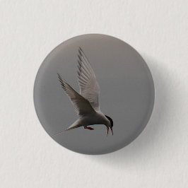 Arktisches Tern-Abzeichen Button