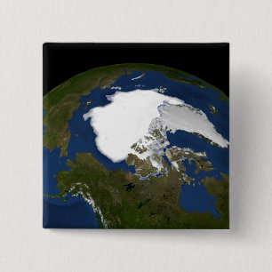 Arktisches Treibeis im Jahre 2005 Button