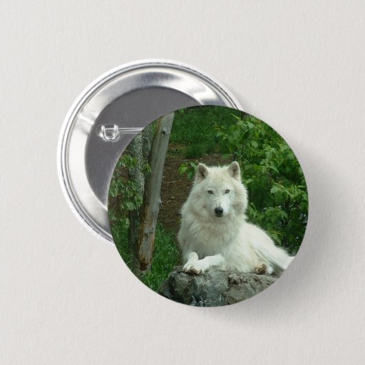 Arktisches Wolf-Button Button (Vorne & Hinten)