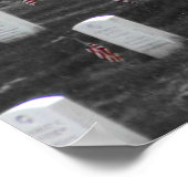 Arlington B&W Color Flags Poster (Ecke)