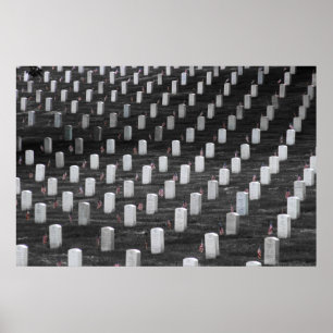 Arlington B&W Color Flags Poster