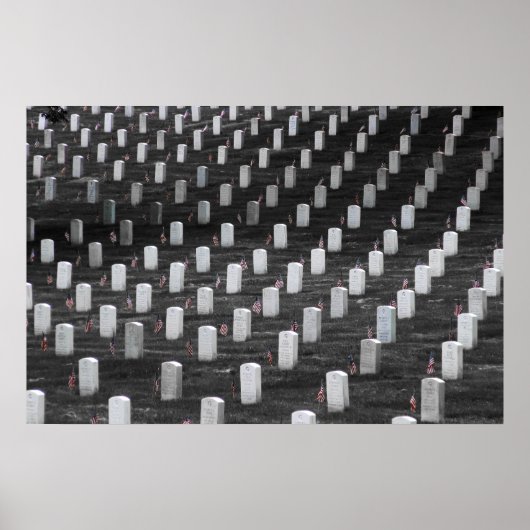 Arlington B&W Color Flags Poster (Vorne)