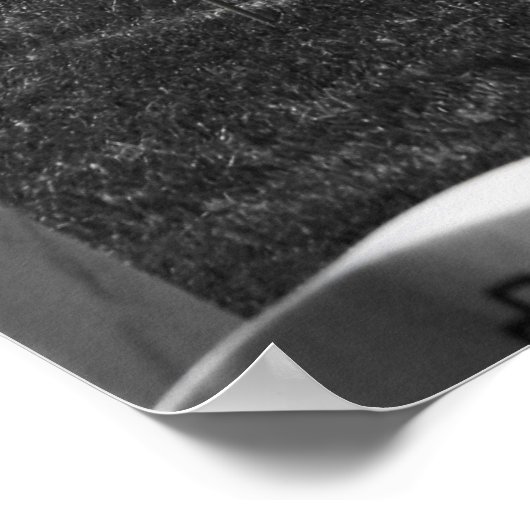 Arlington B&W Flags Color Poster (Ecke)