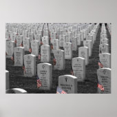 Arlington B&W Flags Color Poster (Vorne)