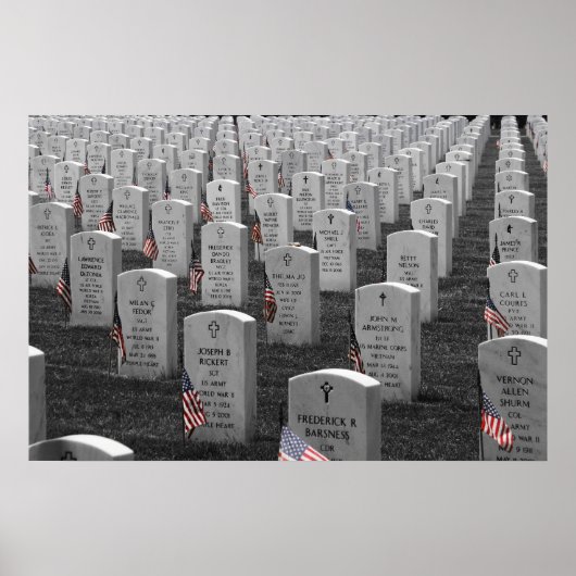 Arlington B&W Flags Color Poster (Vorne)