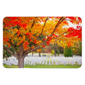 Arlington National Cemetery in Autumn Magnet (Horizontal)