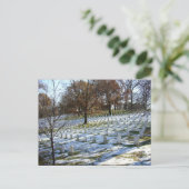 Arlington Postkarte (Stehend Vorderseite)