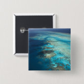 Arlington Reef, Great Barrier Reef Marine Park, Button (Vorne & Hinten)