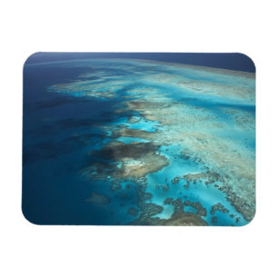 Arlington Reef, Great Barrier Reef Marine Park, Magnet
