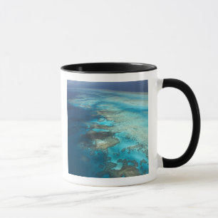 Arlington Reef, Great Barrier Reef Marine Park, Tasse