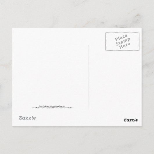 Arlington TX Skyline mit Arlington im Himmel Postkarte (Rückseite)