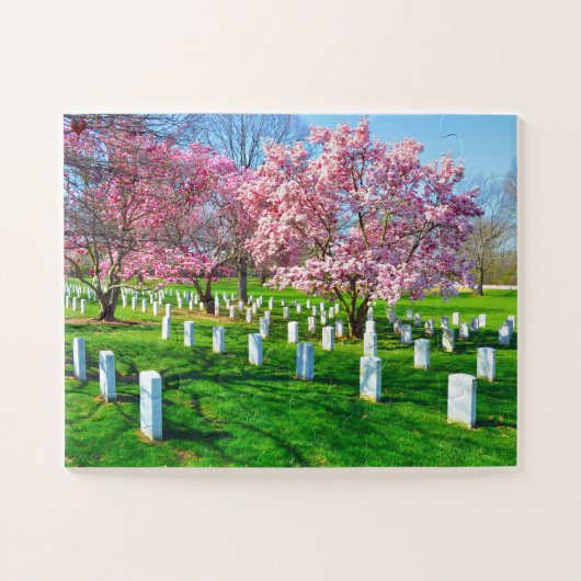 Arlington Virginia Puzzle (Horizontal)