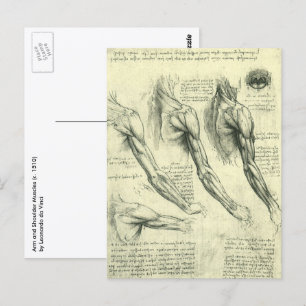 Arm- und Schulteranatomie von Leonardo da Vinci Postkarte