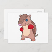 Armadillo Boxing Boxer Boxhandschuhe Postkarte (Vorne/Hinten)