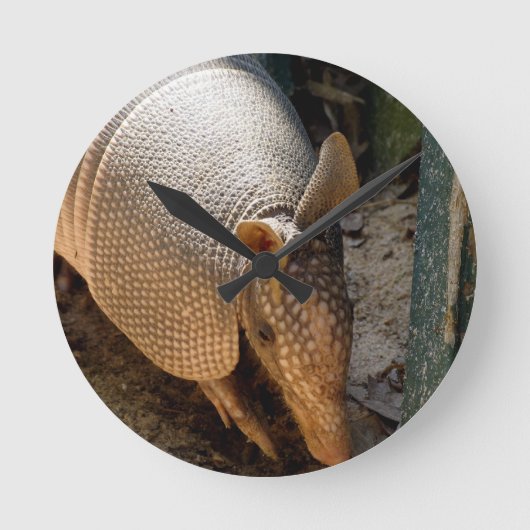 Armadillo Clock Runde Wanduhr (Vorderseite)