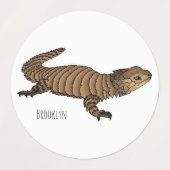 Armadillo girdled lizard cartoon illustration etiketten (Design 2)