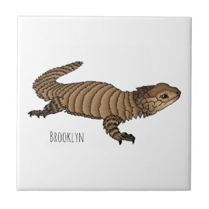 Armadillo girdled lizard cartoon illustration fliese