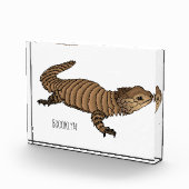 Armadillo girdled lizard cartoon illustration fotoblock (Rechts)