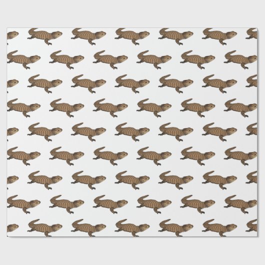 Armadillo girdled lizard cartoon illustration geschenkpapier (Flach)