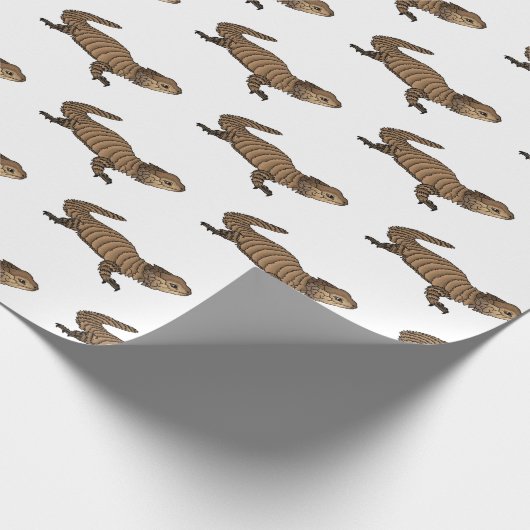 Armadillo girdled lizard cartoon illustration geschenkpapier (Ecke)