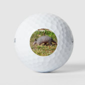 Armadillo Golfball (Vorderseite)