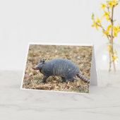 Armadillo Karte (Gelbe Blume)