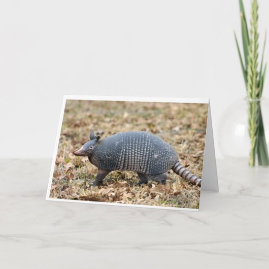 Armadillo Karte (Vorderseite)