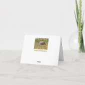 Armadillo Karte (Rückseite)