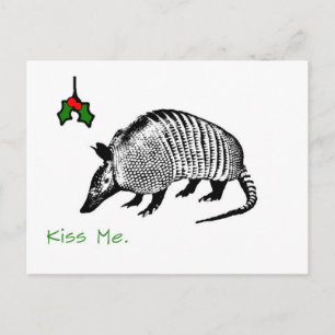 Armadillo Kiss Me Postkarte