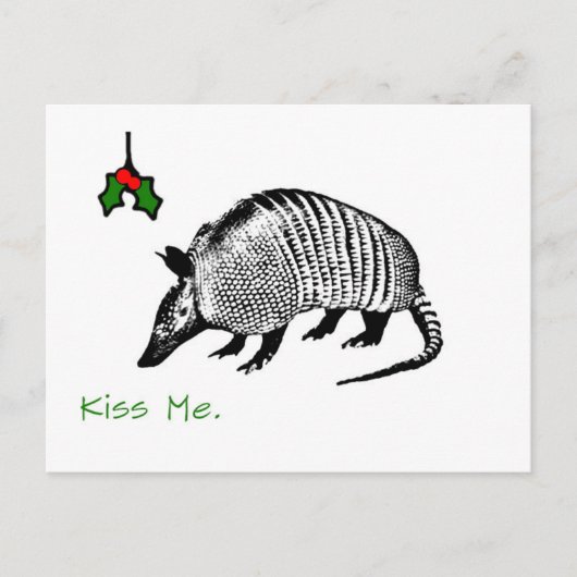 Armadillo Kiss Me Postkarte (Vorderseite)