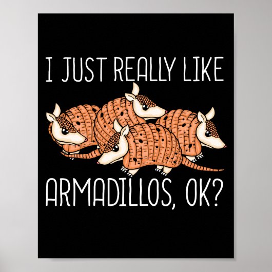 Armadillo Lover Wildlife Animal Gift Armadillo Poster (Vorne)